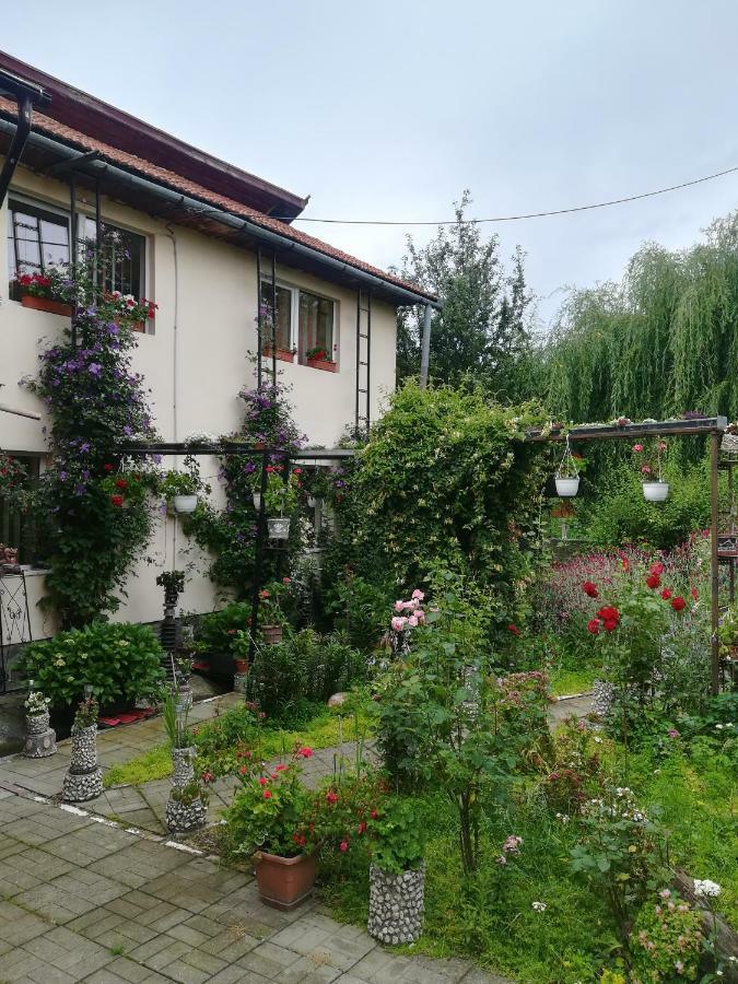 Casa Bradul Verde บราน ภายนอก รูปภาพ