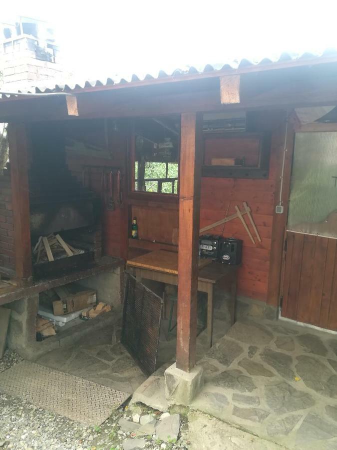 Casa Bradul Verde บราน ภายนอก รูปภาพ