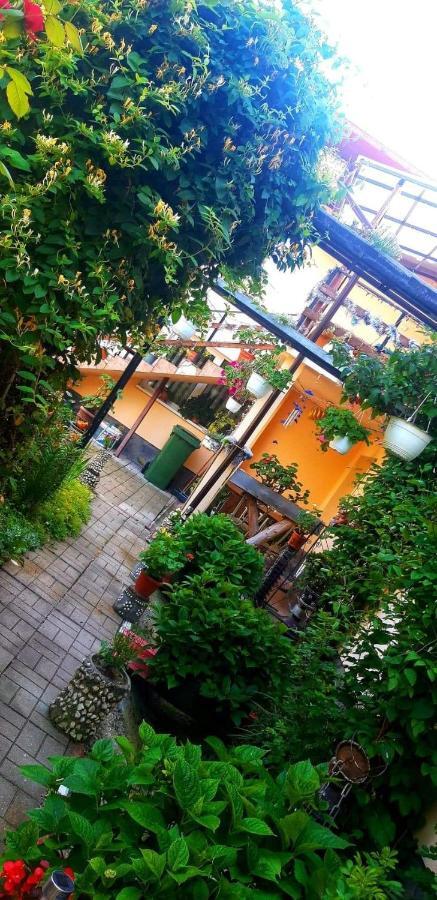 Casa Bradul Verde บราน ภายนอก รูปภาพ