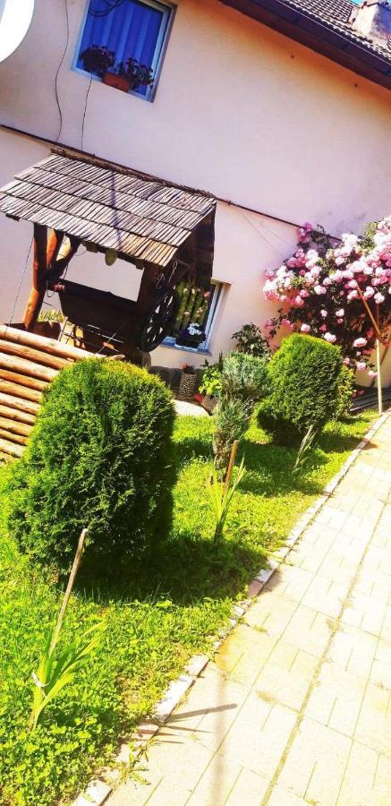 Casa Bradul Verde บราน ภายนอก รูปภาพ