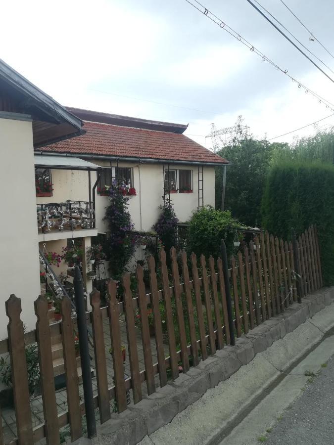 Casa Bradul Verde บราน ภายนอก รูปภาพ