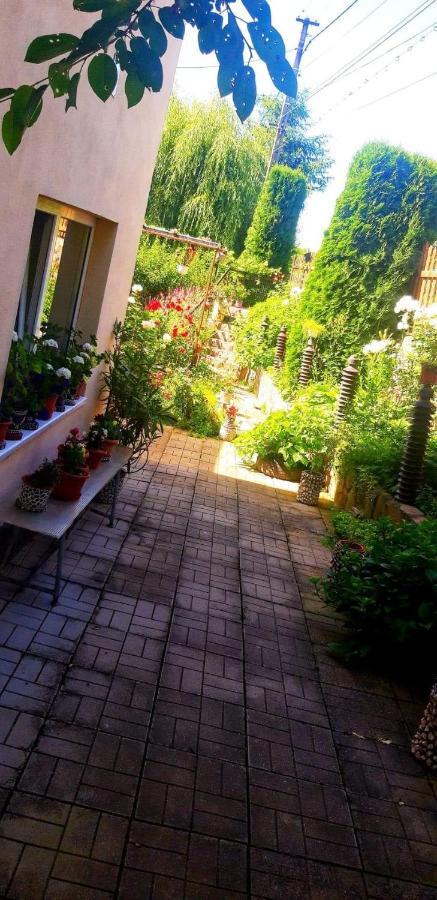 Casa Bradul Verde บราน ภายนอก รูปภาพ